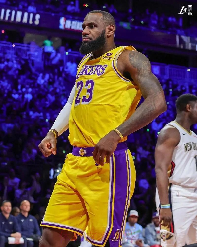 詹姆斯30分 湖人战胜鹈鹕